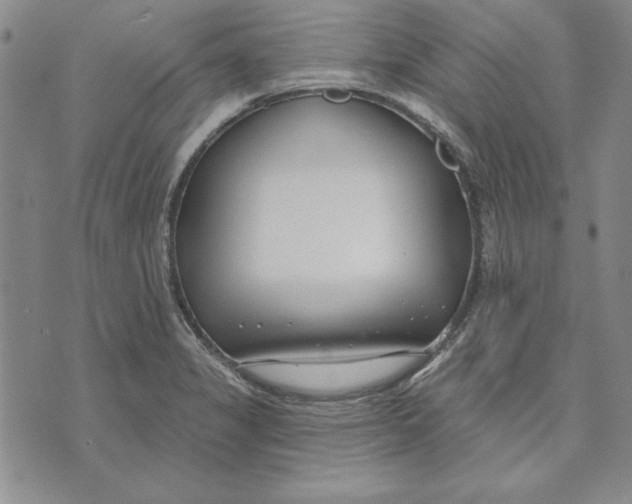 X0000072491325200608041406