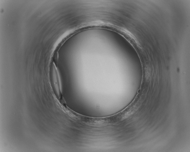 X0000072491326200608041406