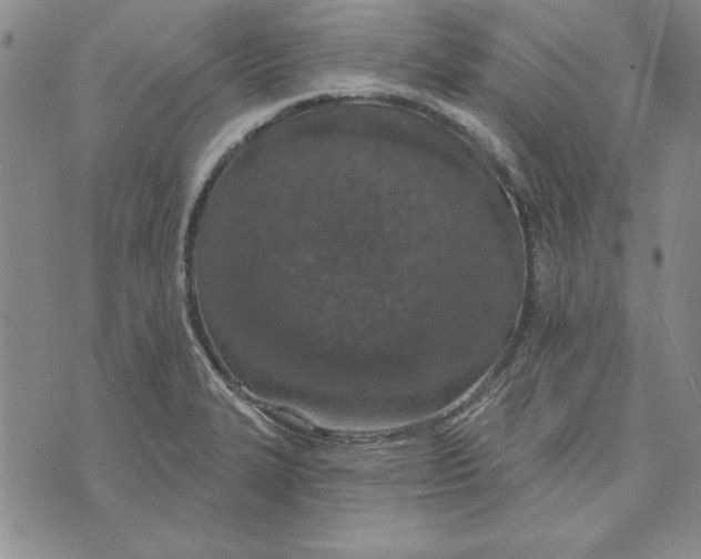 X0000072491327200608041406