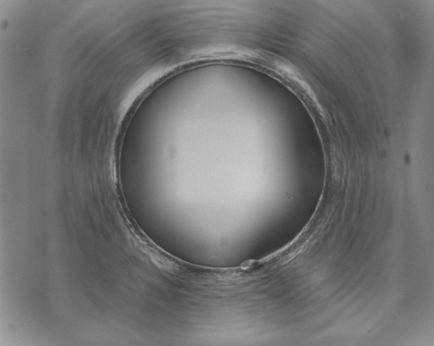 X0000072491328200608041406