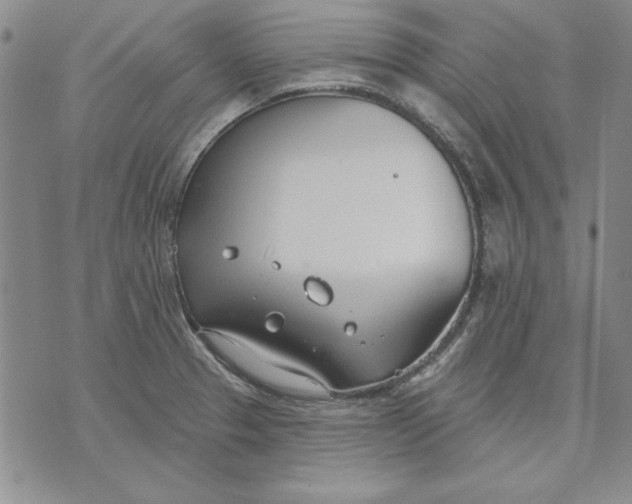 X0000072491329200608041406