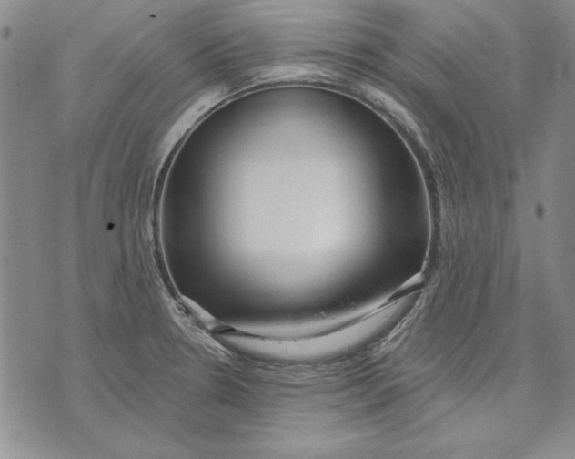 X0000072491330200608041406