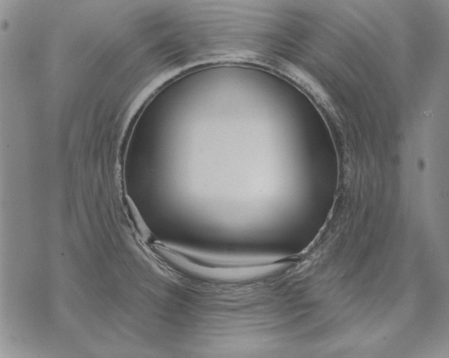 X0000072491332200608041406