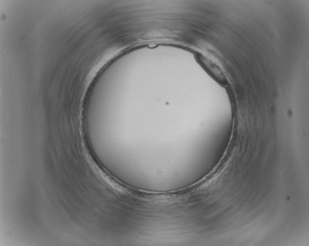 X0000072491333200608041406