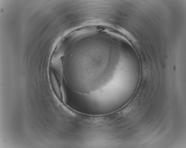 X0000072491334200608041406