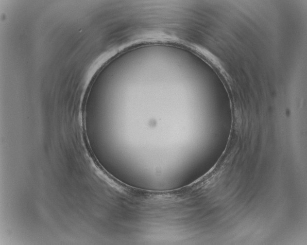 X0000072491335200608041406