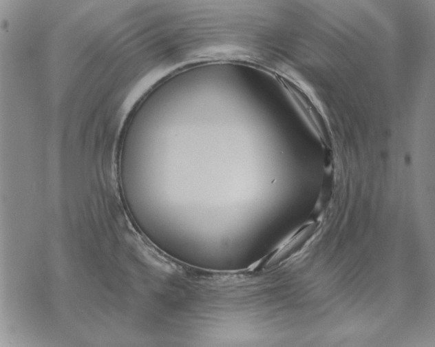 X0000072491336200608041406