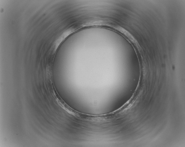 X0000072491337200608041406