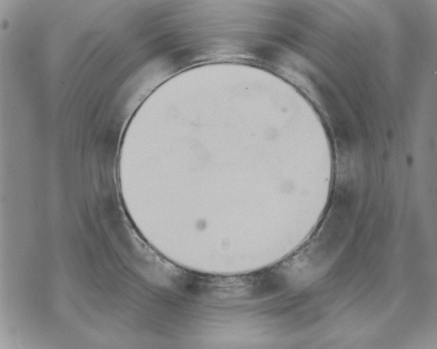 X0000072491338200608041406