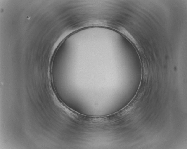 X0000072491339200608041406