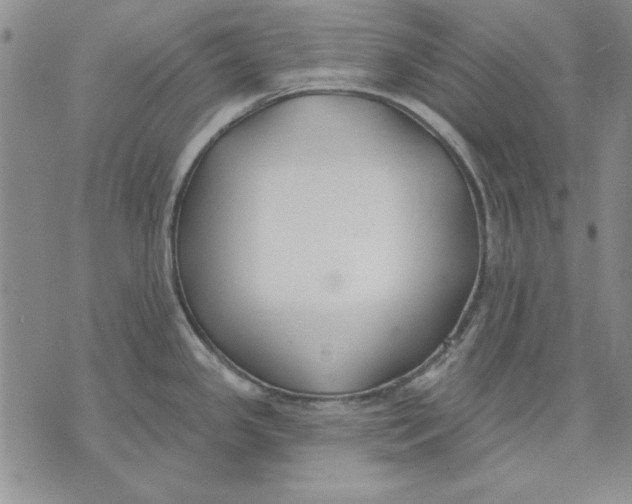 X0000072491341200608041406