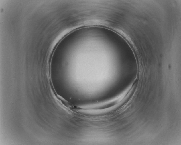 X0000072491342200608041406