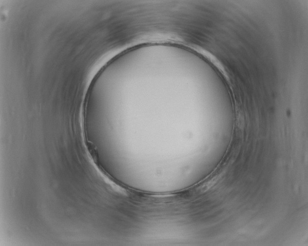 X0000072491343200608041406