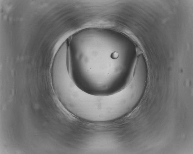 X0000072491344200608041406