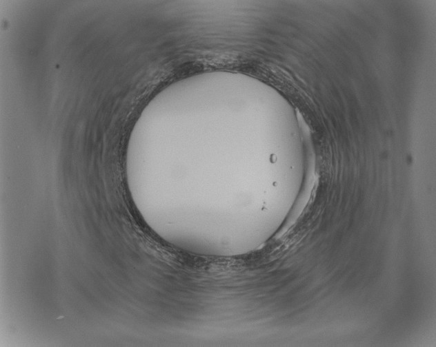 X0000072491345200608041405