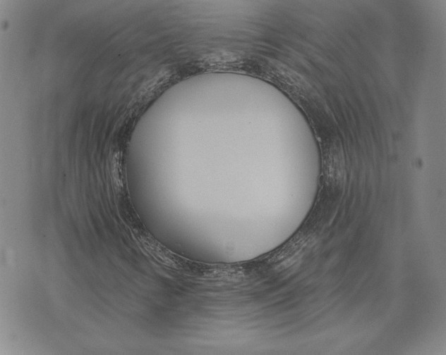 X0000072491346200608041405