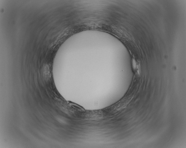 X0000072491347200608041405