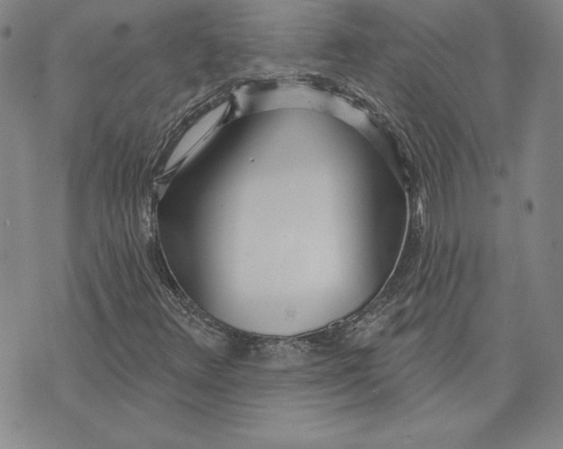 X0000072491348200608041405