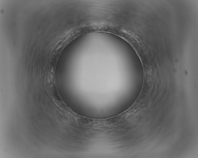 X0000072491349200608041405