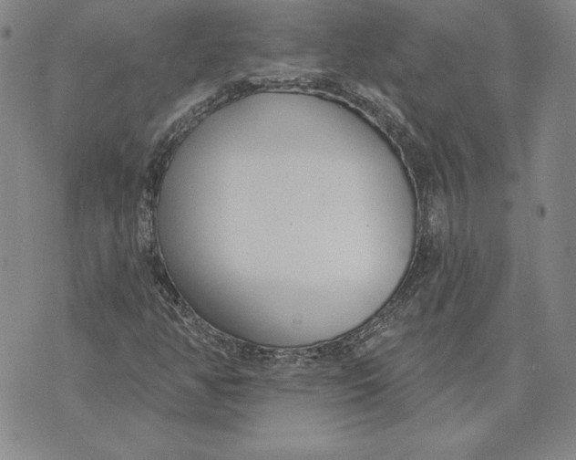 X0000072491350200608041405