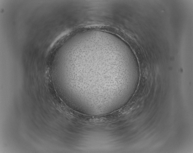 X0000072491351200608041405