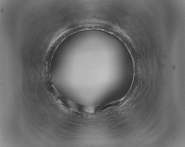 X0000072491352200608041405