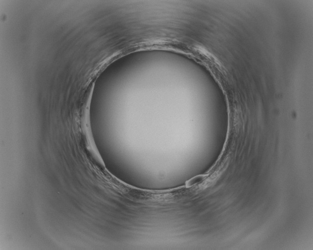 X0000072491353200608041405