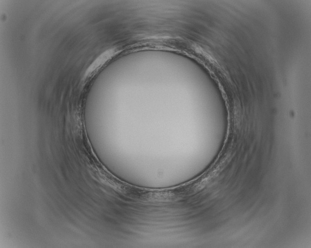 X0000072491354200608041405