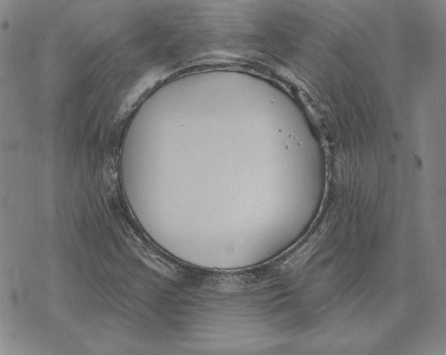 X0000072491355200608041405