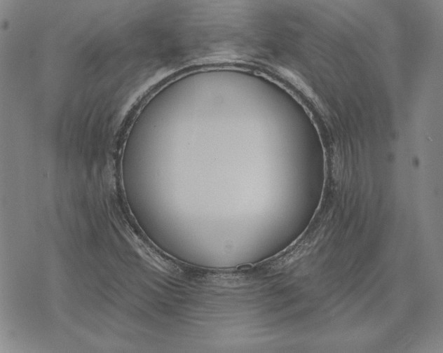 X0000072491356200608041405