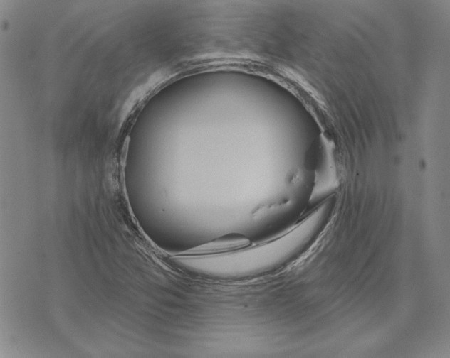 X0000072491357200608041405