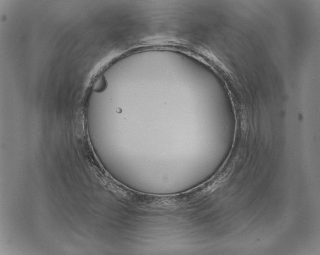 X0000072491358200608041405