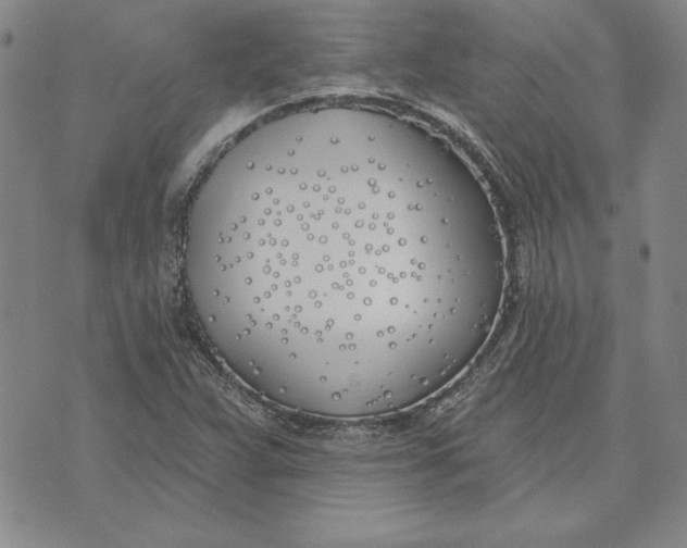 X0000072491359200608041405