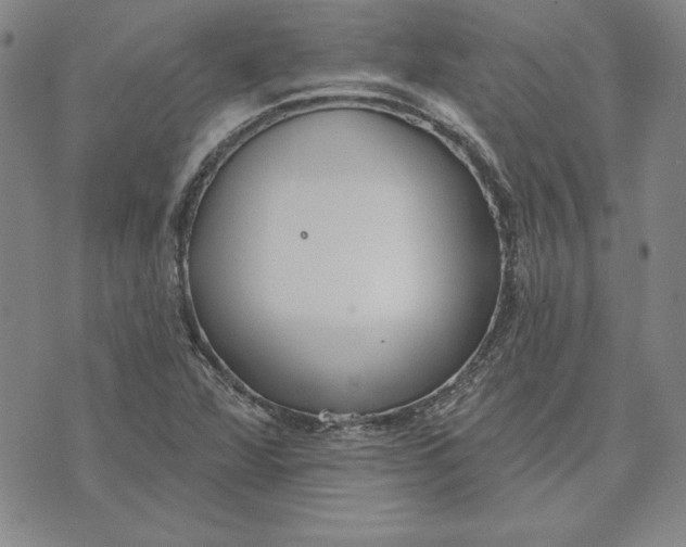 X0000072491360200608041405