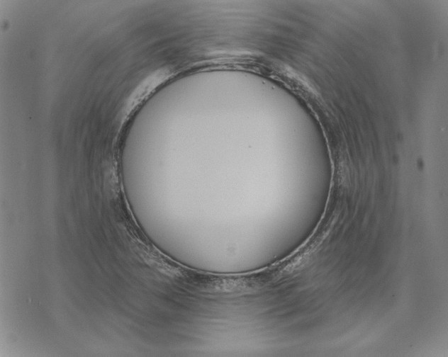 X0000072491362200608041405