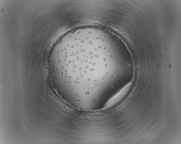 X0000072491363200608041405