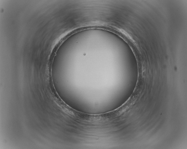 X0000072491364200608041405