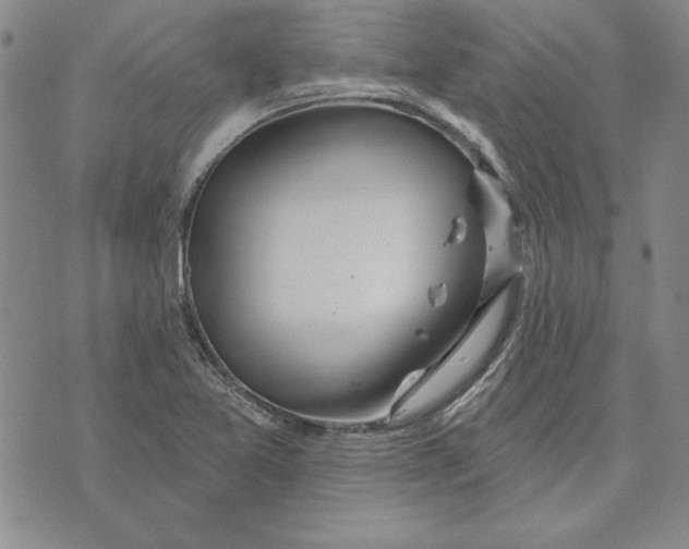 X0000072491365200608041405