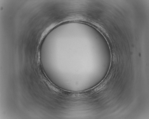 X0000072491366200608041405