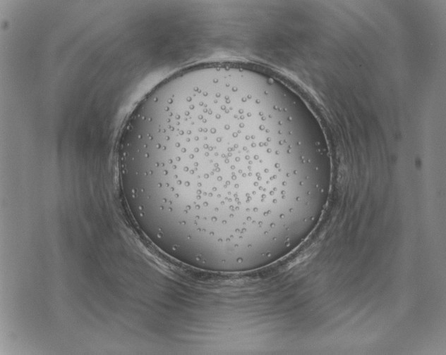 X0000072491367200608041405