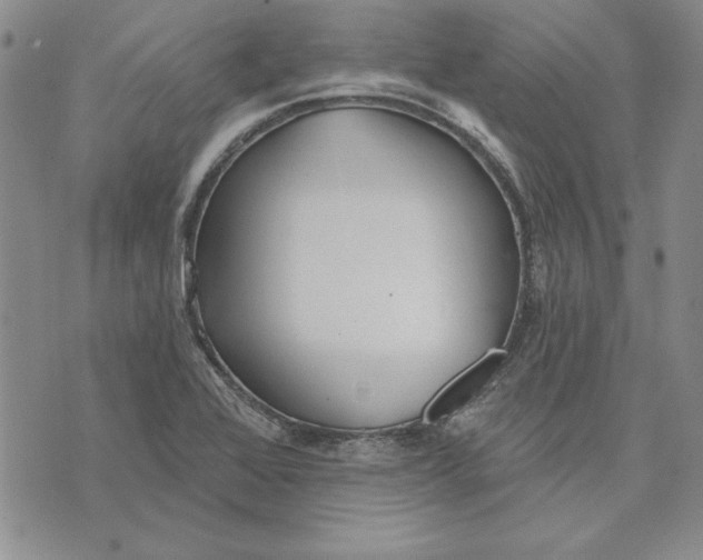 X0000072491368200608041405