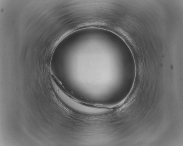 X0000072491369200608041405