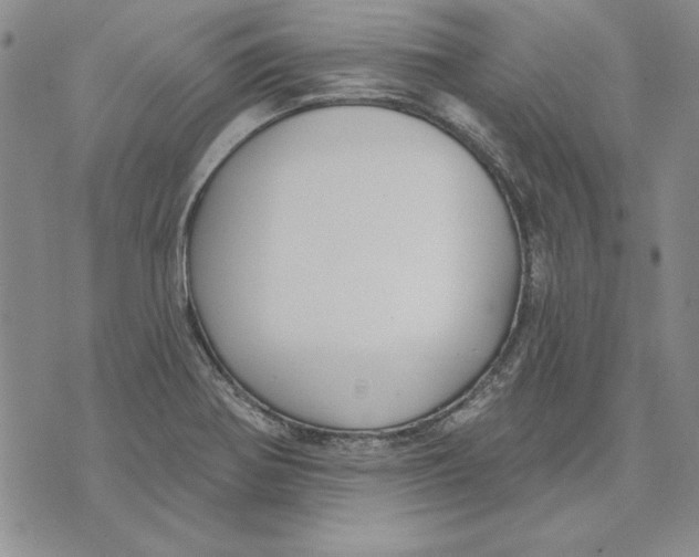 X0000072491370200608041405