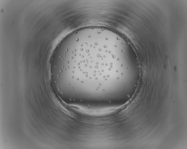 X0000072491371200608041405