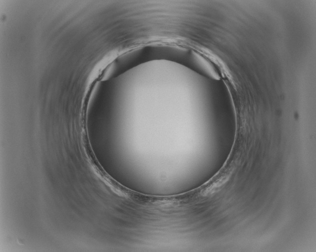 X0000072491373200608041405