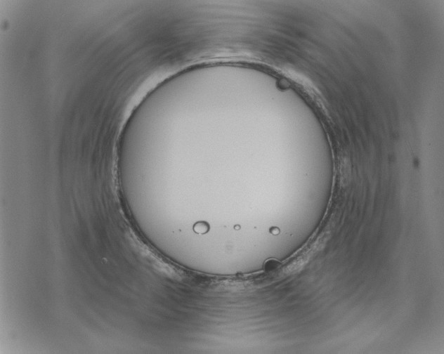 X0000072491374200608041405