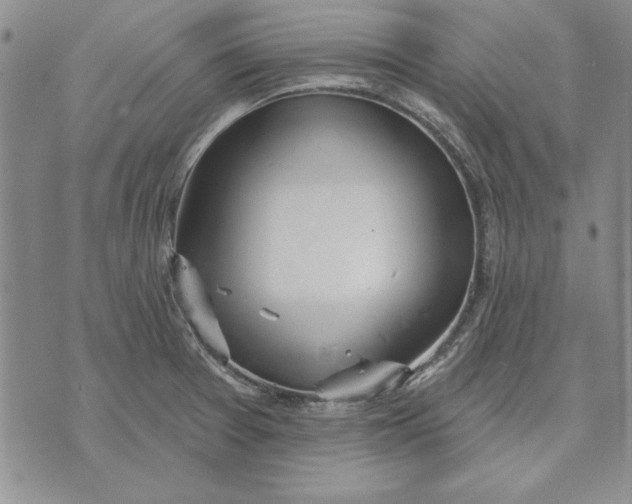 X0000072491377200608041405