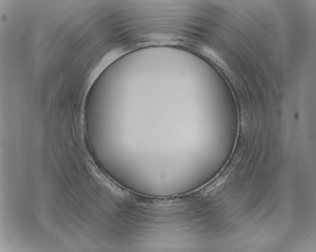 X0000072491378200608041405