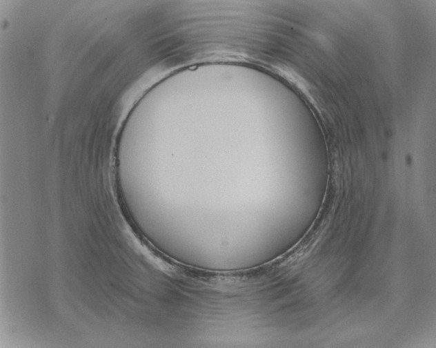 X0000072491379200608041405