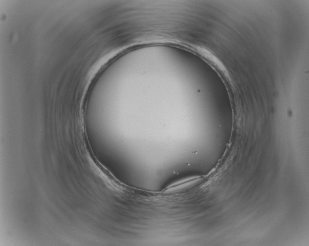 X0000072491380200608041405